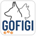 Conversation Concepts Inc. / GoFigi 110