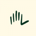Lifelines LLC 66