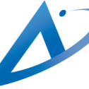 Accelerated Information Systems 337