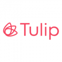 Tulip 136