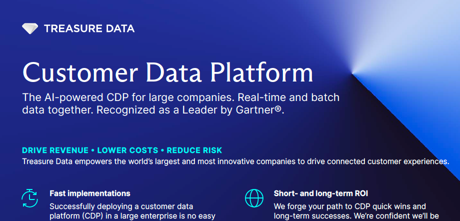 Customer Data Platform (CDP) 1220