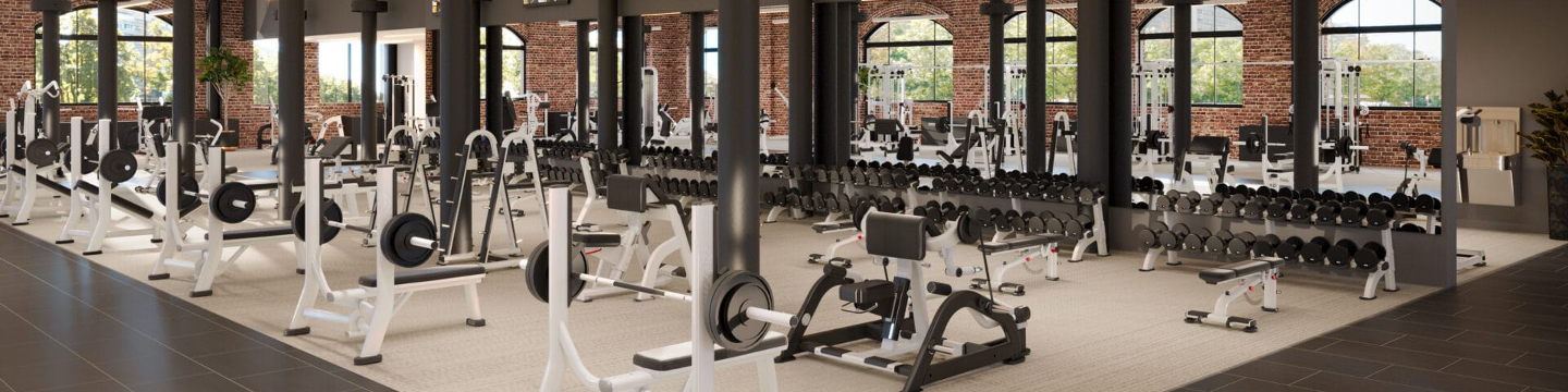 Fitnessmith 530
