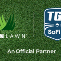 AstroTurf, SYNLawn, and Laykold 285