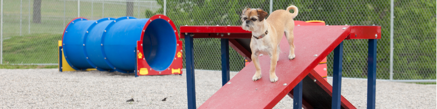 Dog-ON-It-Parks 75