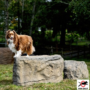 15% Off All NatureDog Orders 163