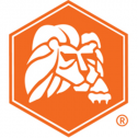 Lion Technology Inc. 742