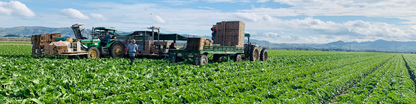 Beachside Produce, LLC 133