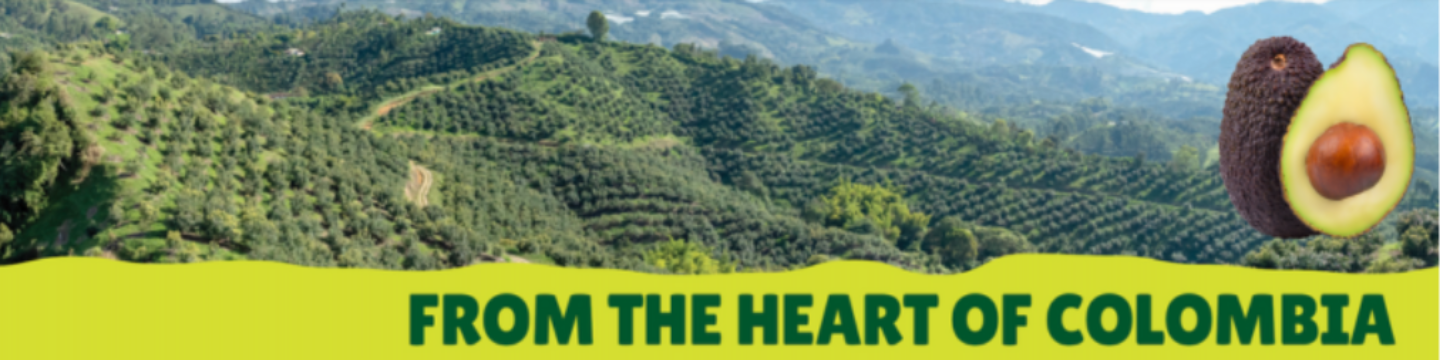 Colombia Avocado Board 99