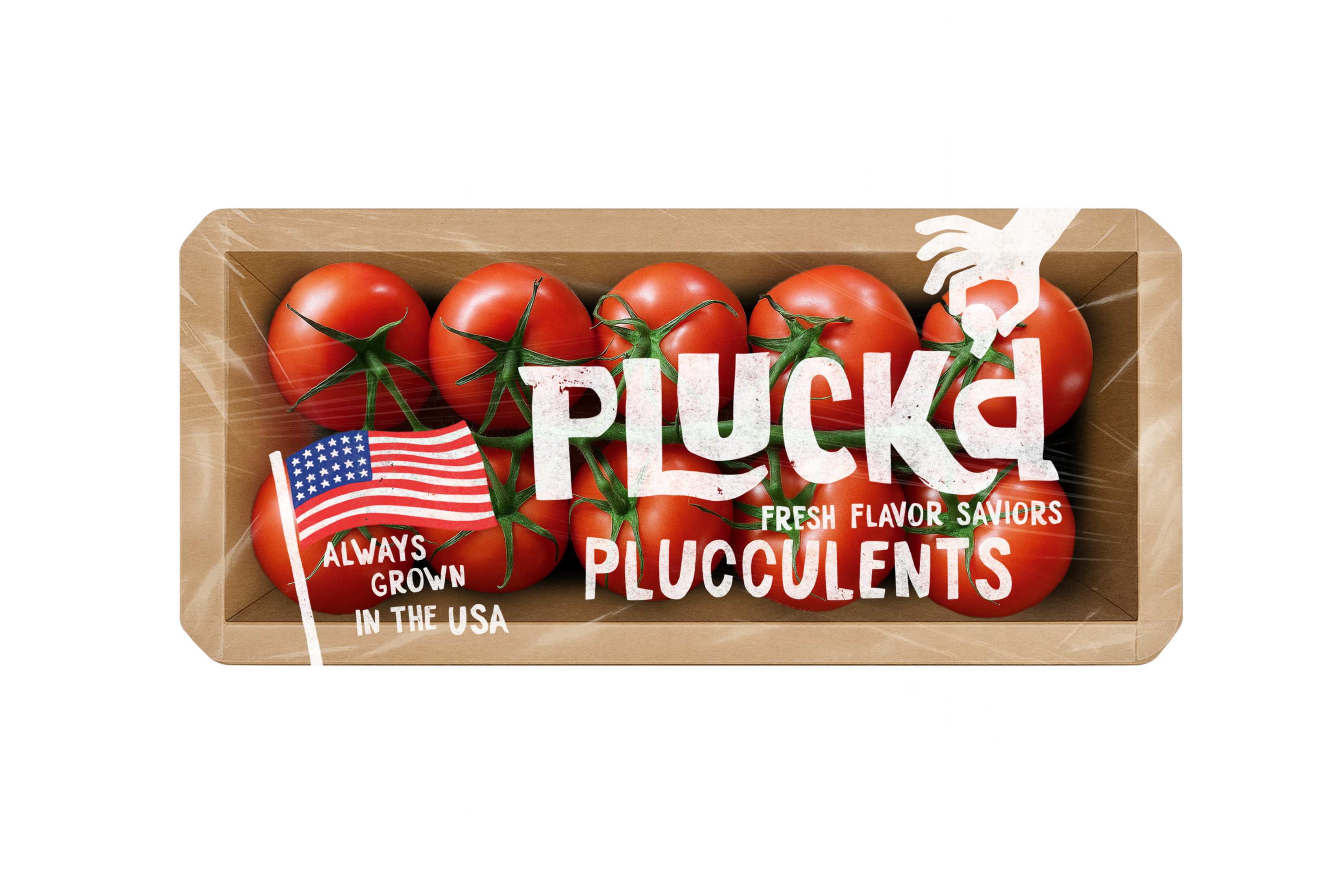 Pluck'd Plucculents Cocktail Tomatoes 25