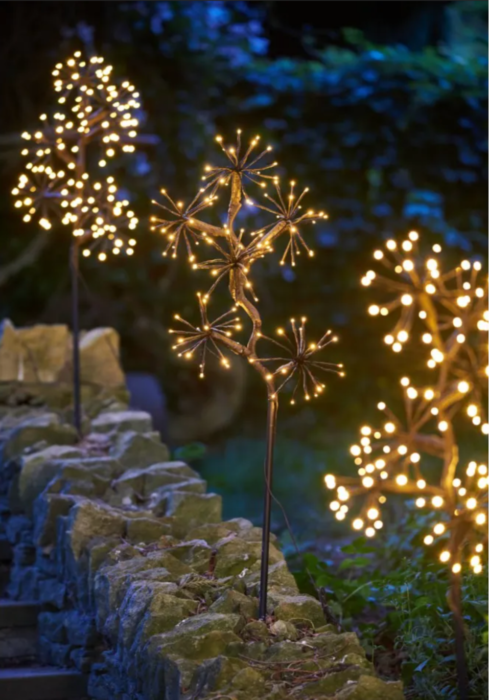 Solar Starburst Branch 3038