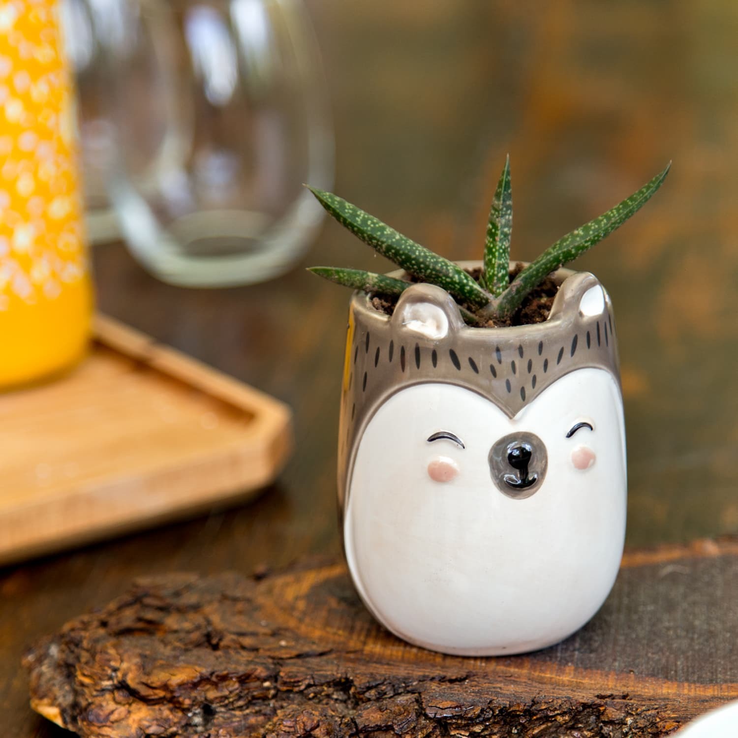 Hedgehog Ceramic Planter 5665