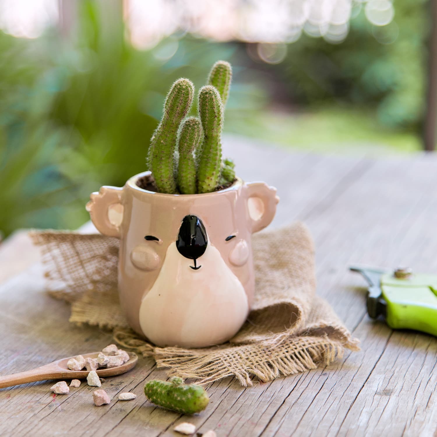 Koala  Ceramic Planter 5666