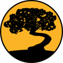 Juniper Overland 255