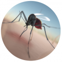 heat it™ - The World’s #1 Insect Bite Healer. 261