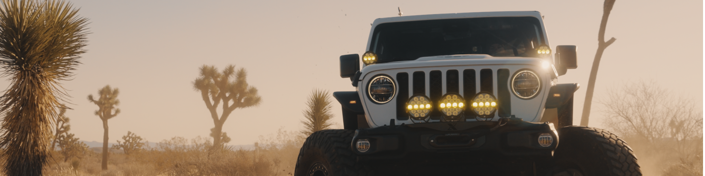 Vision X | Projecta 281