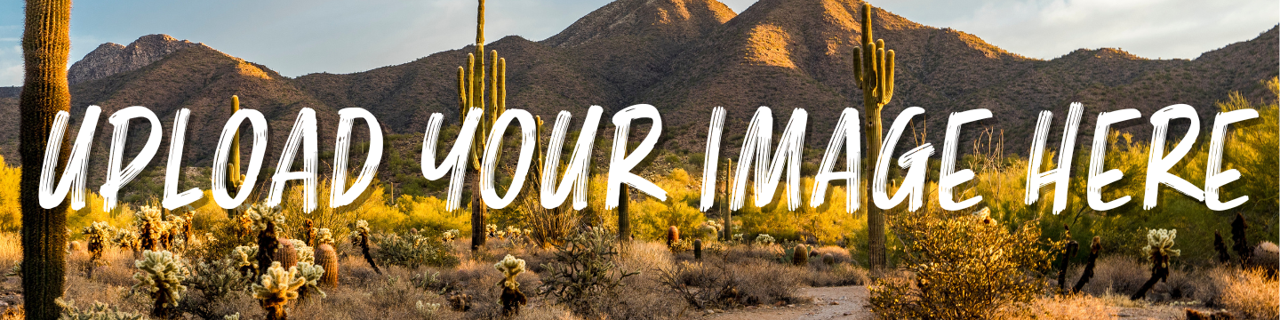 Air Down Gear Up 162