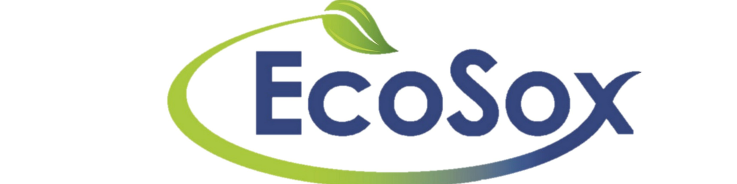 EcoSox 38