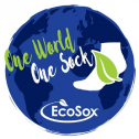 EcoSox 38