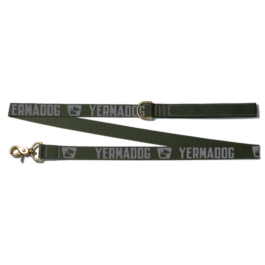 Reflective Wanderwag Leash • Loud Logo - Ranger Green 832