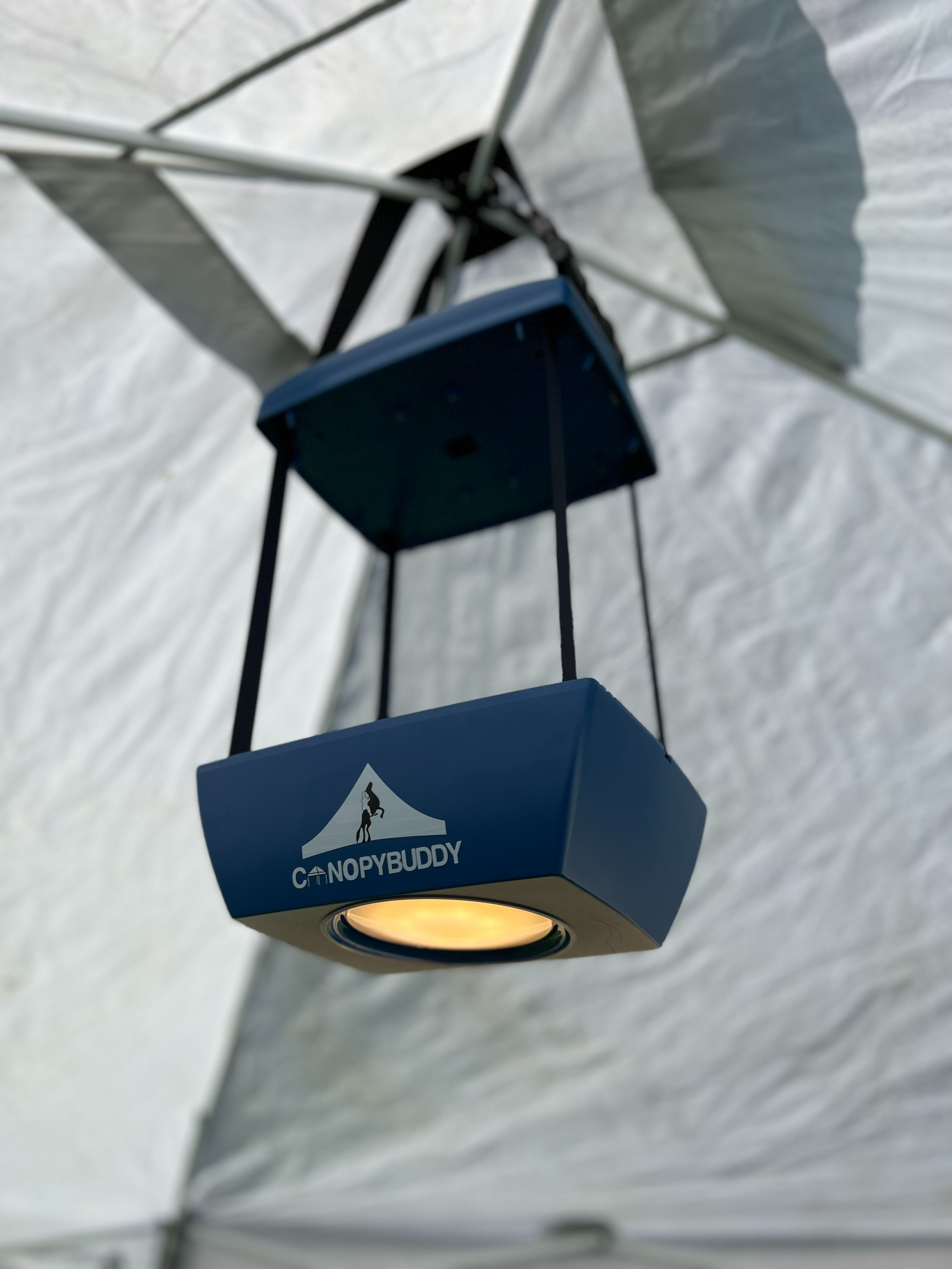 The Vault: Canopy Light And Lock Box 249