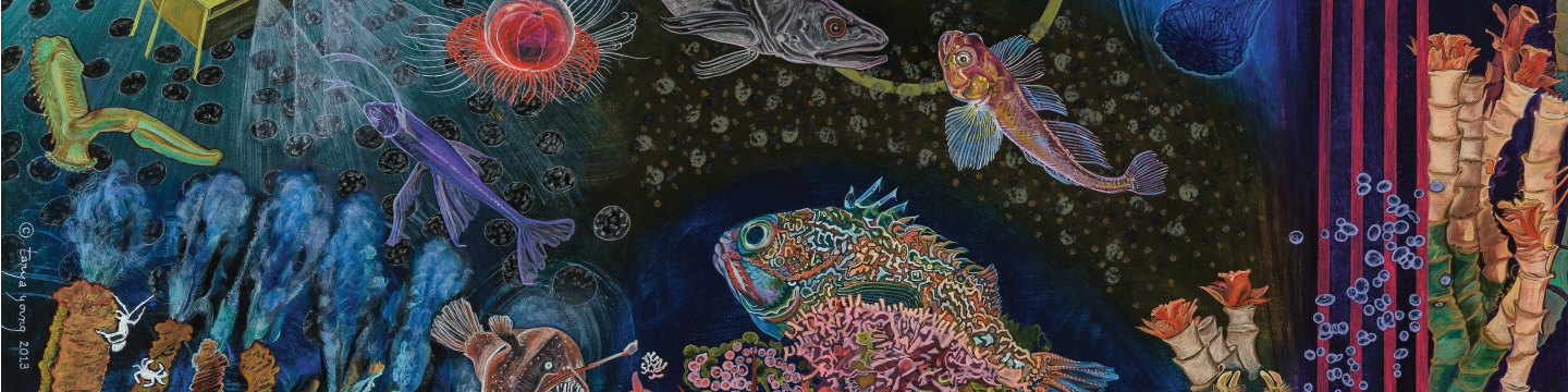 Deep-Ocean Stewardship Initiative (DOSI) 60