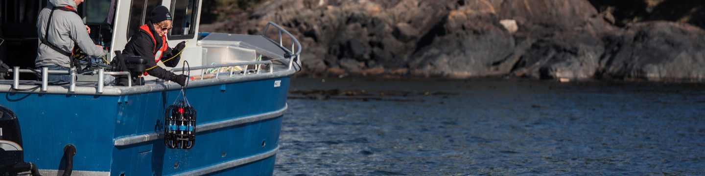 Ocean Diagnostics 85