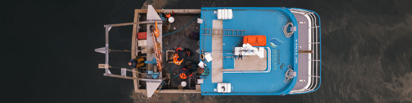 Convex Seascape Survey 90