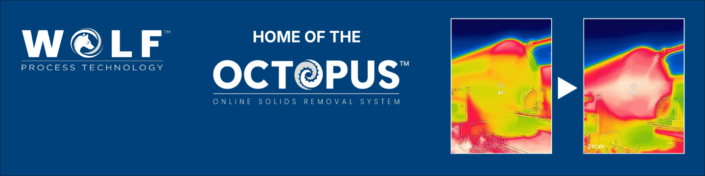 Wolf Process Technology 37