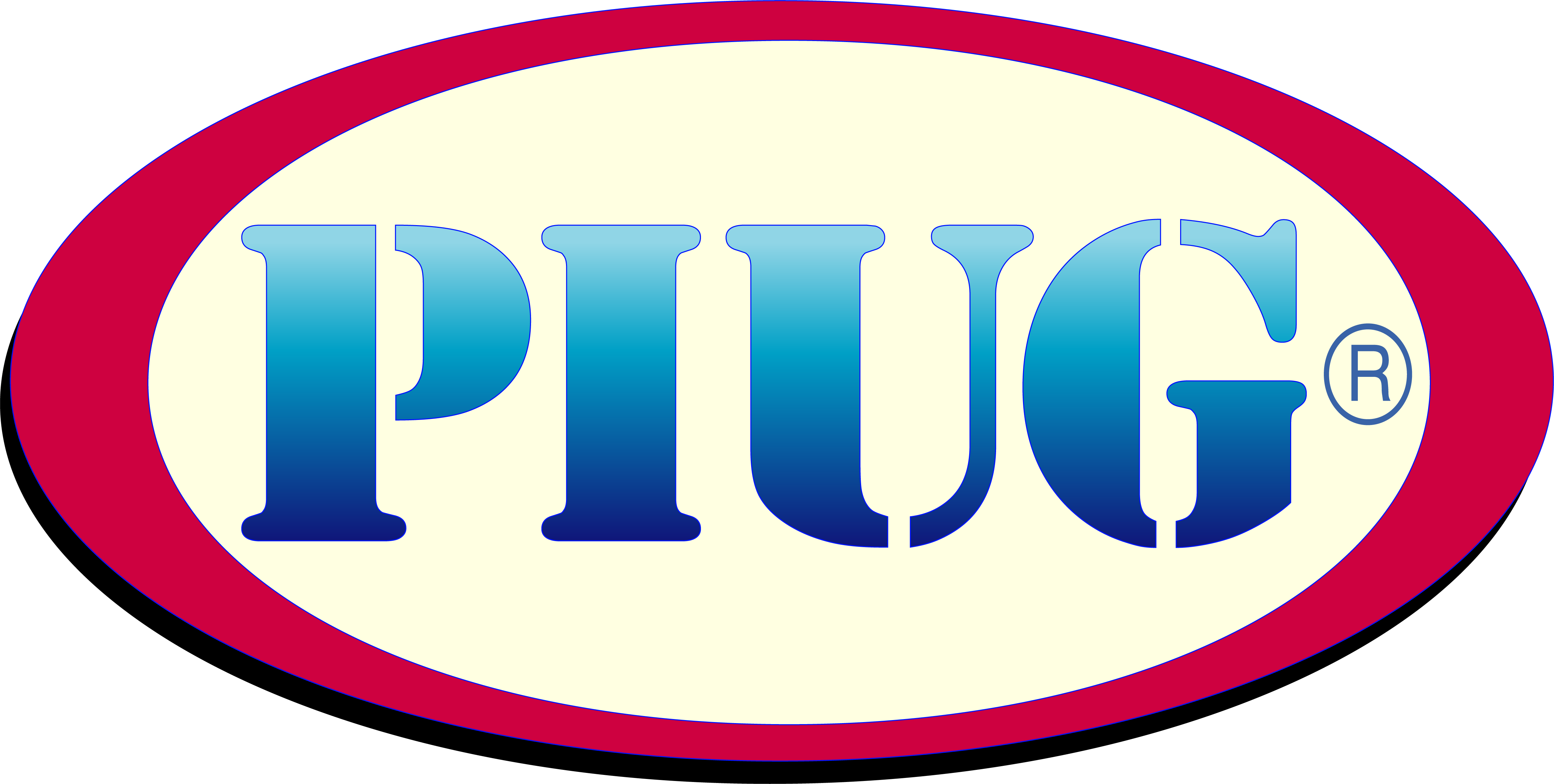 PIUG CommUnity