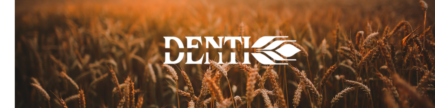 Molino Denti America 372