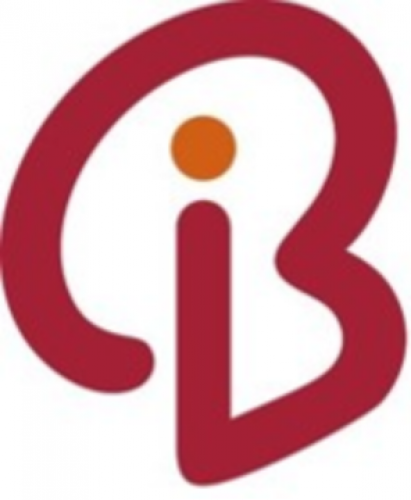 Branding Iron Holdings 346