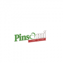 Pinsami S.r.l. 482