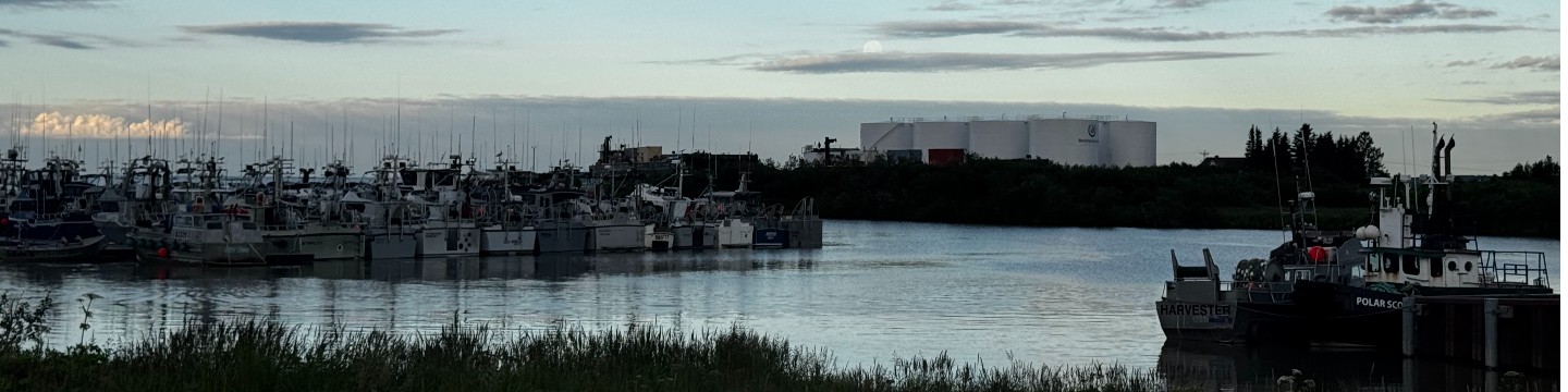Alaska Net & Supply 246
