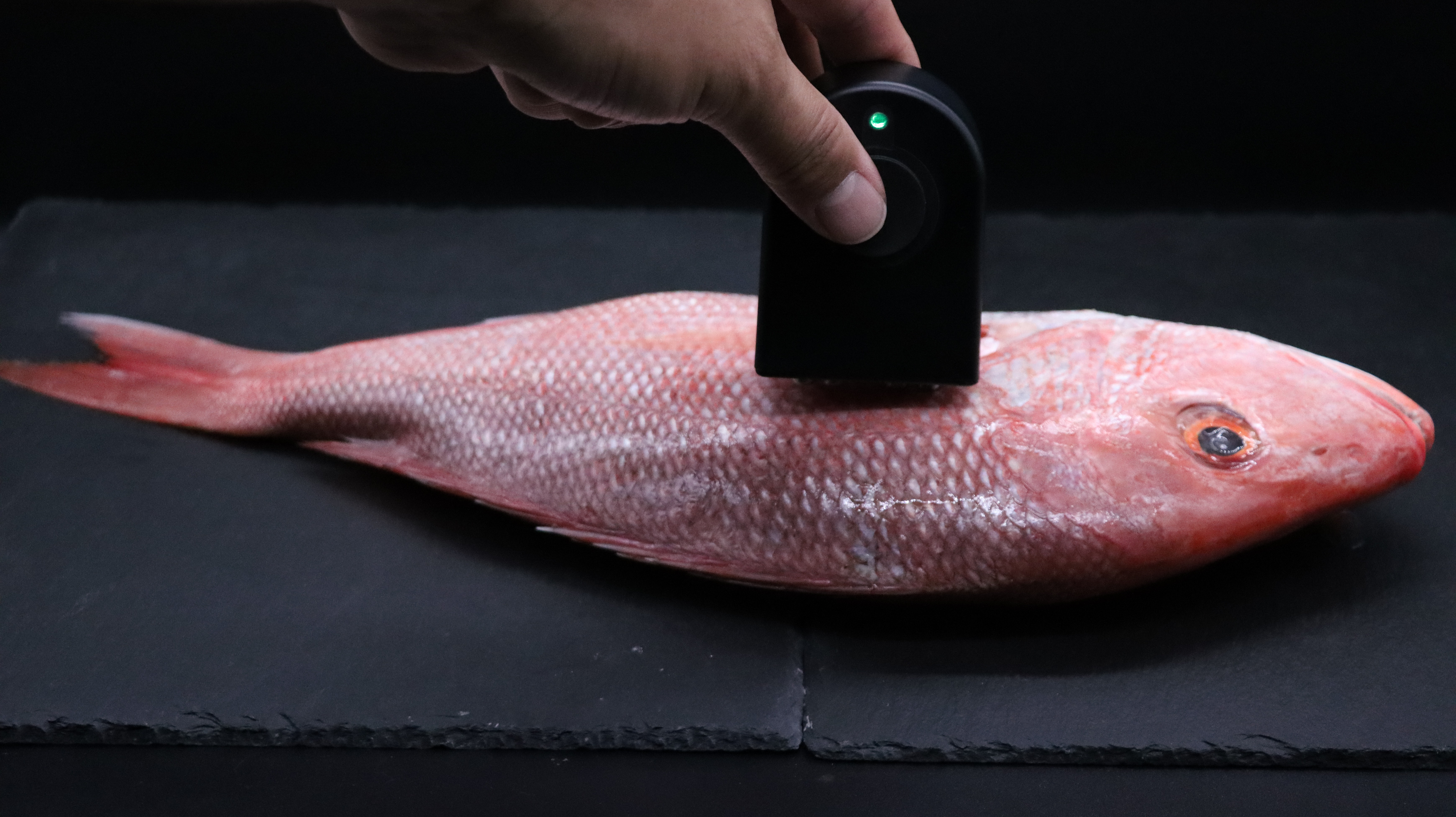 Certified Quality Reader 198