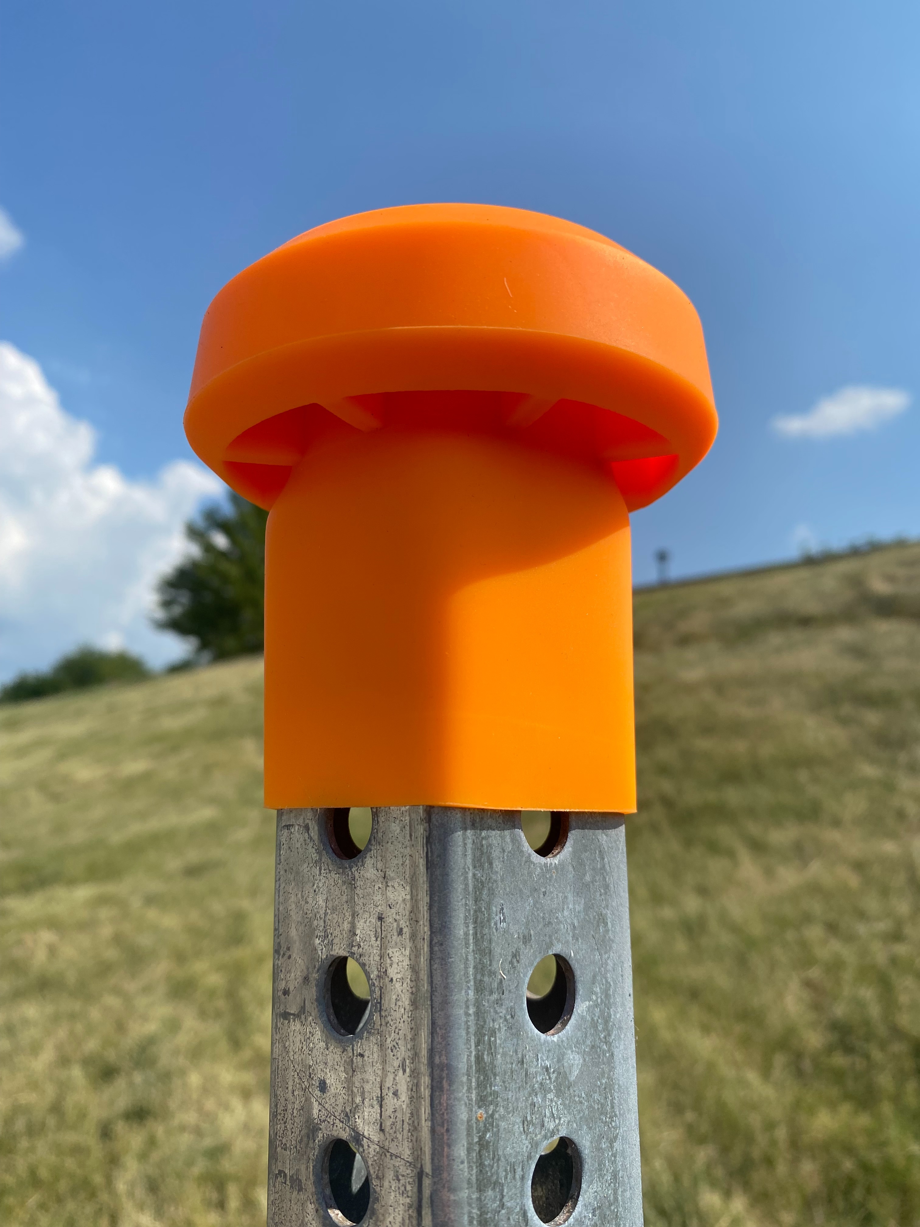 The Guardeon Post Safety Cap 41