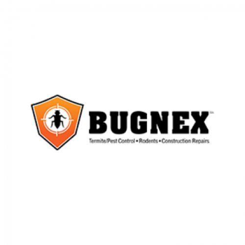 BUGNEX Inc. 63