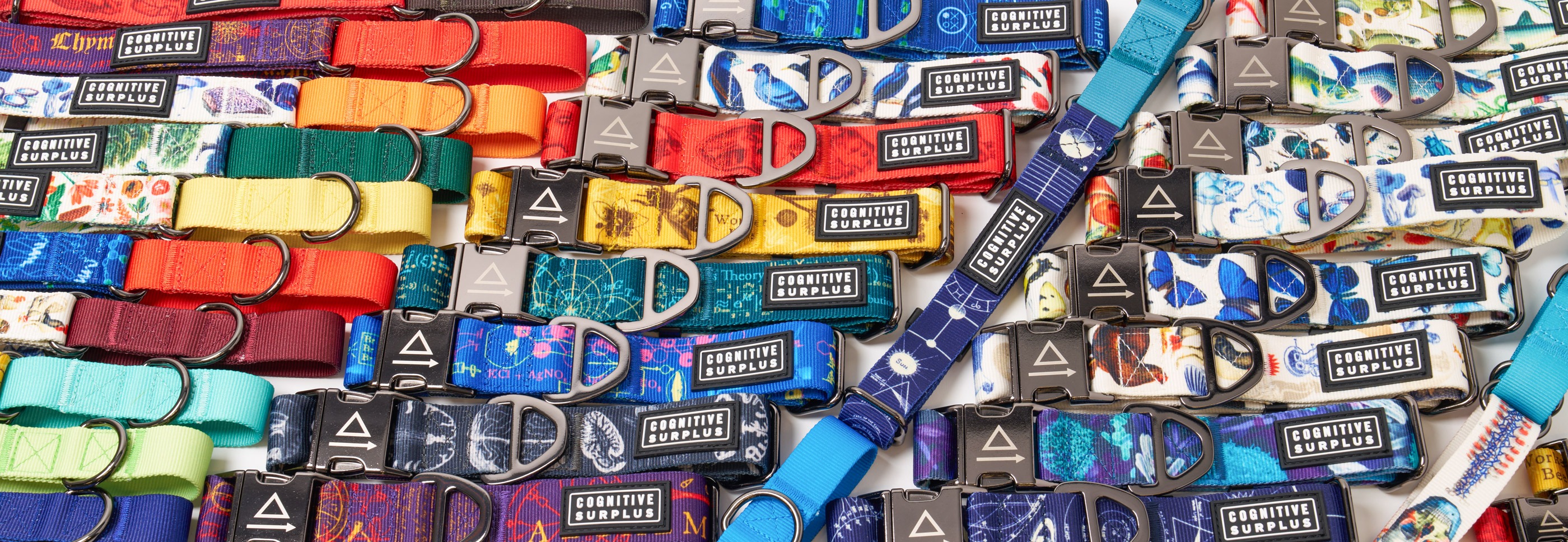 Eco-Friendly Pet Supplies 39