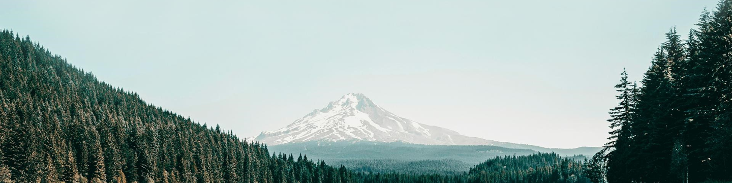 Multnomah Group 58