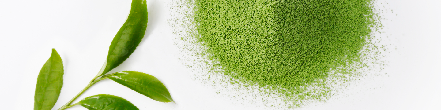 Aiya Matcha 169