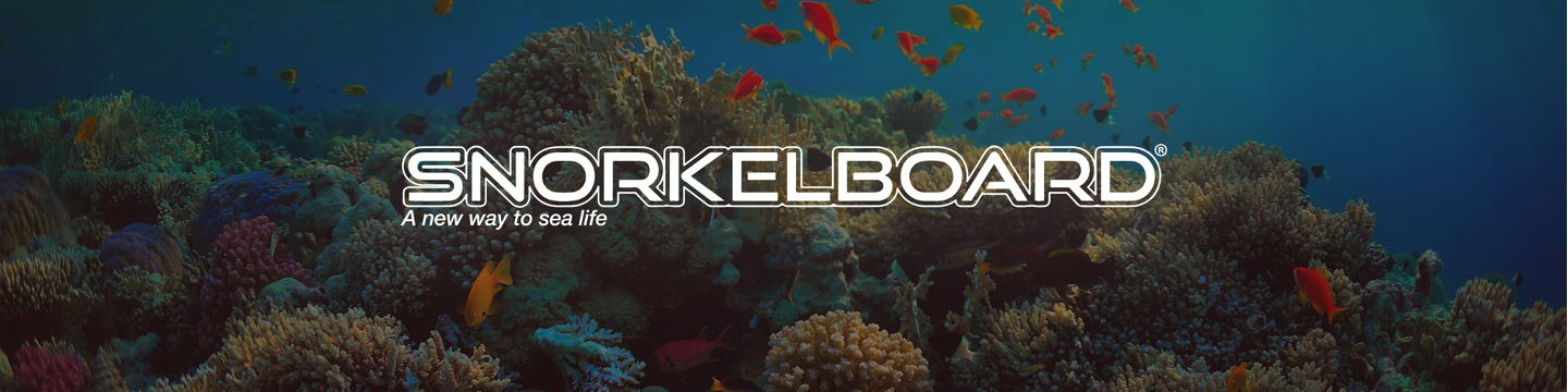 THE SNORKELBOARD FACTORY LIMITED -  BERMUDA 513