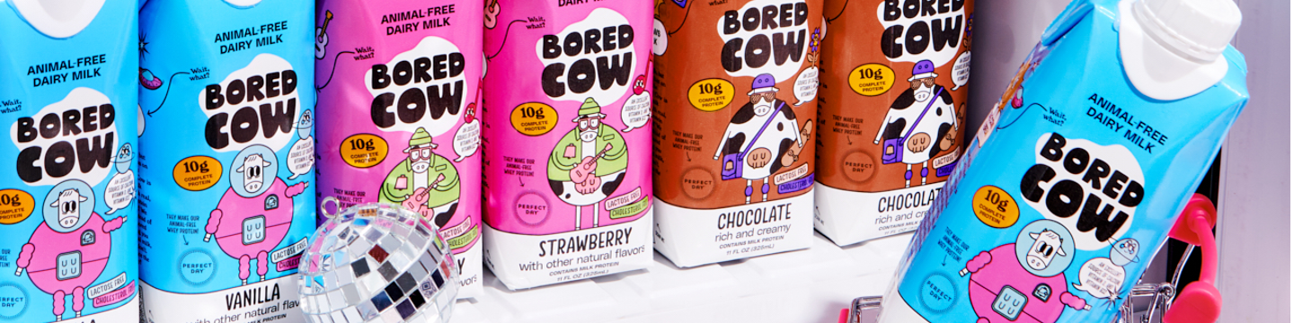Bored  Cow 97