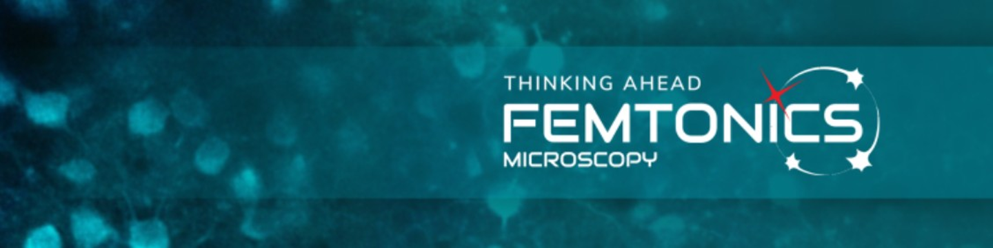 Femtonics 108