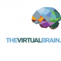 The Virtual Brain 248