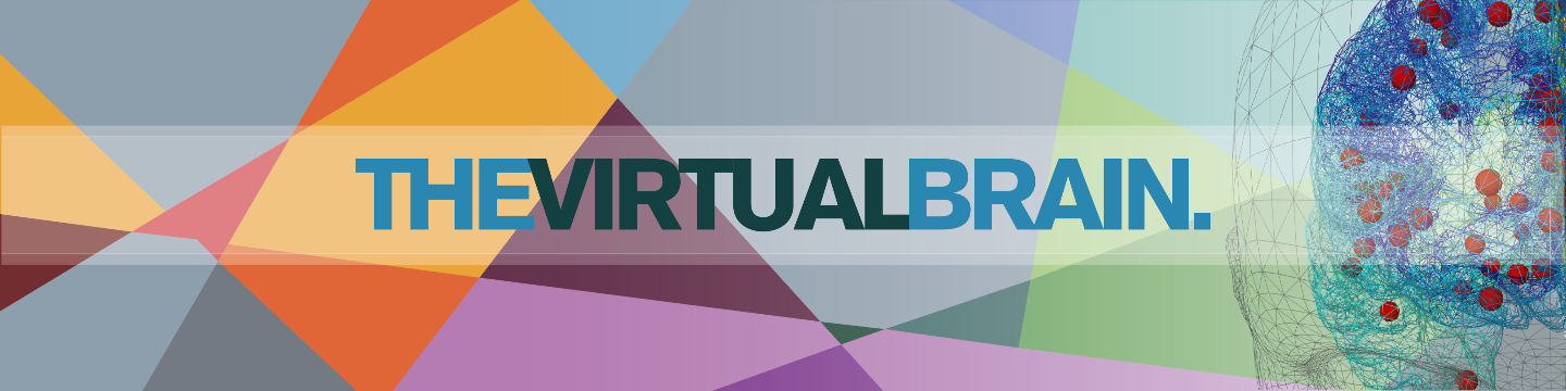 The Virtual Brain 248