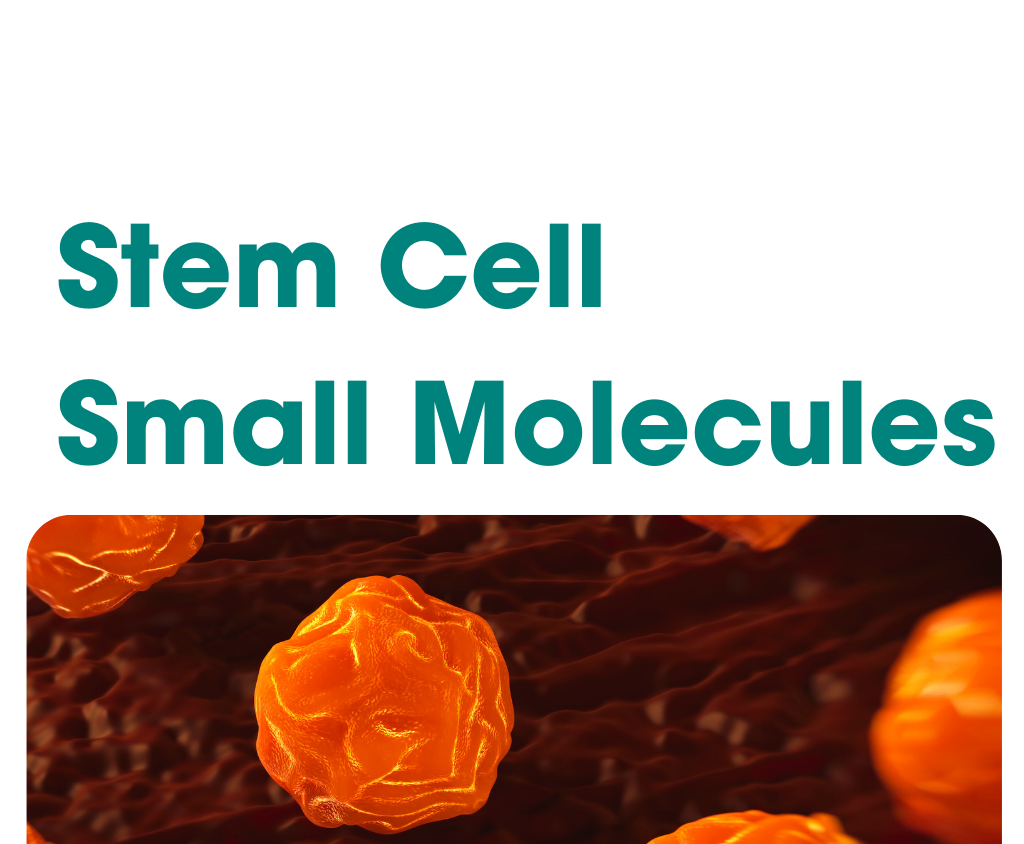 Stem Cell Small Molecules - Hello Bio 141