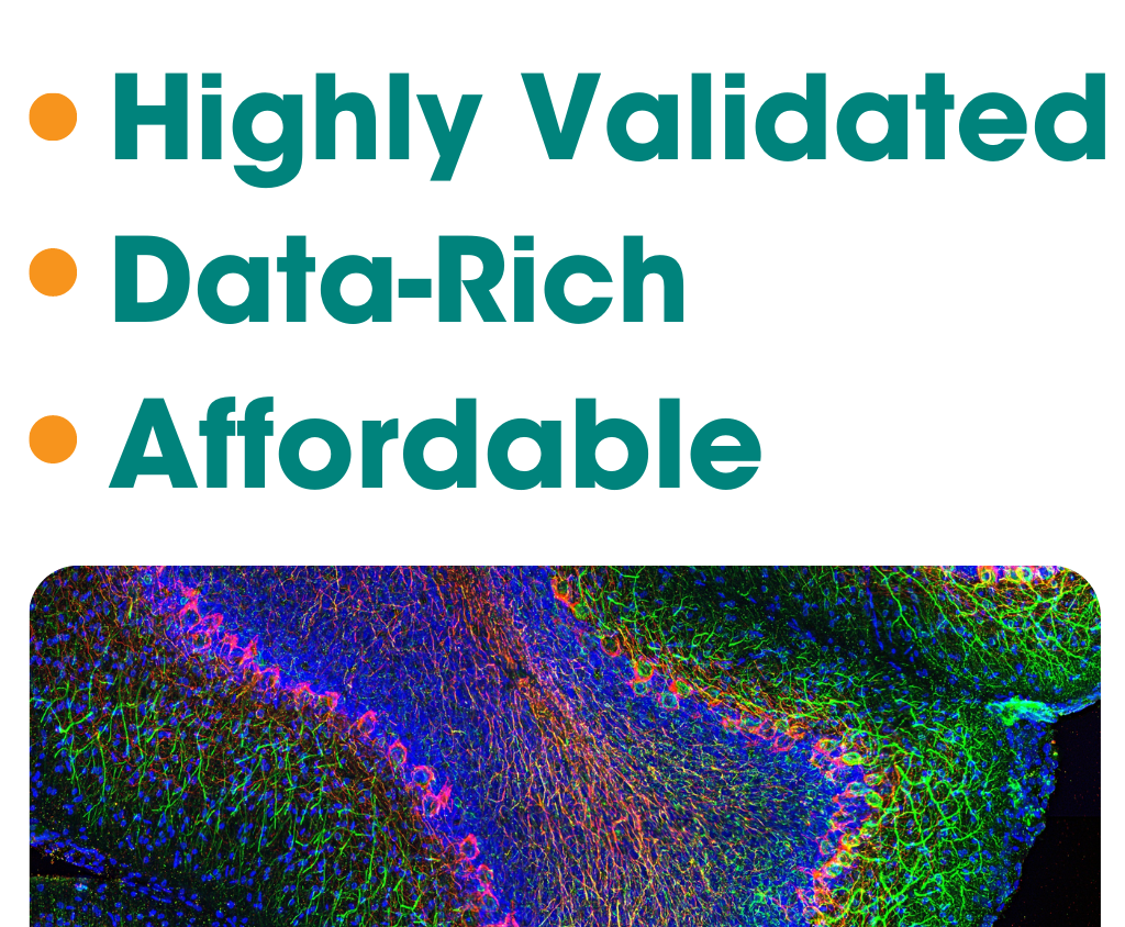 ValidAb Antibodies - Highly-Validated, Data-Rich & Affordable 175