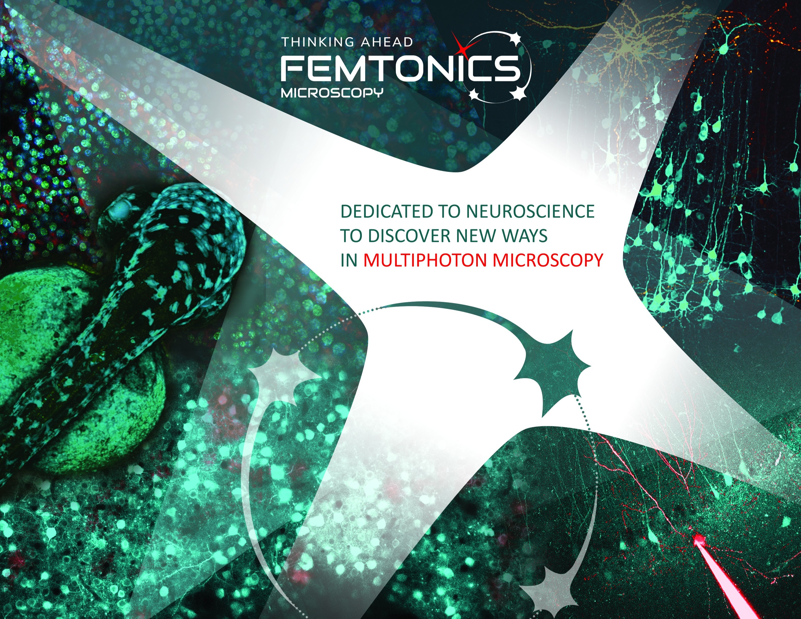 Femtonics Publications 209