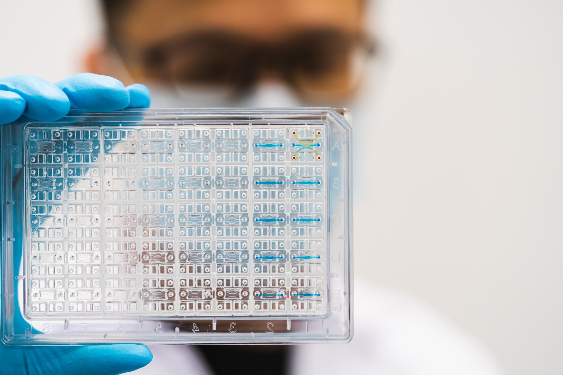 idenTx for scalable, flexible organ-on-a-chip drug discovery 217