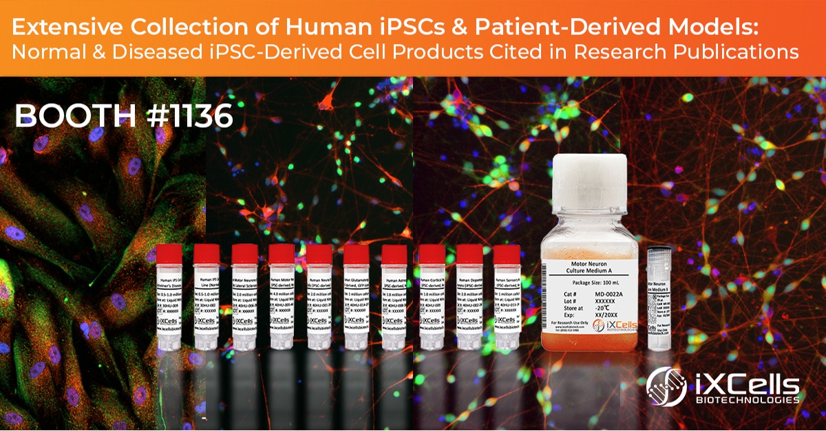 sfn-ixcells-biotechnologies.jpg