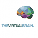 The Virtual Brain 263